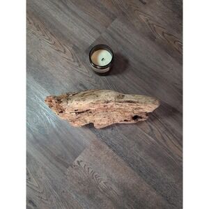 Driftwood So CA Beach Ocean Wood Sculpture Art Landscape Decor Crafts Garden